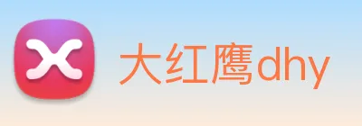 大红鹰dhy Logo